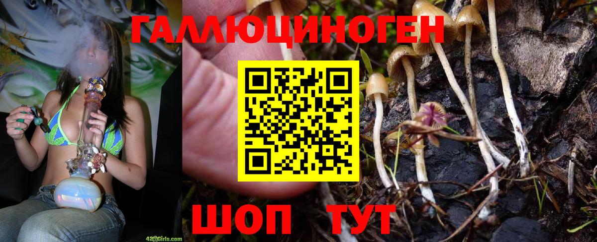 Псилоцибиновые грибы Cubensis Лянтор