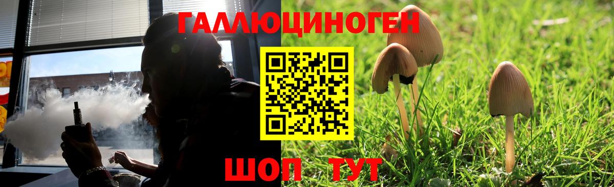 Лянтор  Галлюциногенные грибы Cubensis  Вход с VPN 